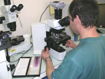 Checking slides
